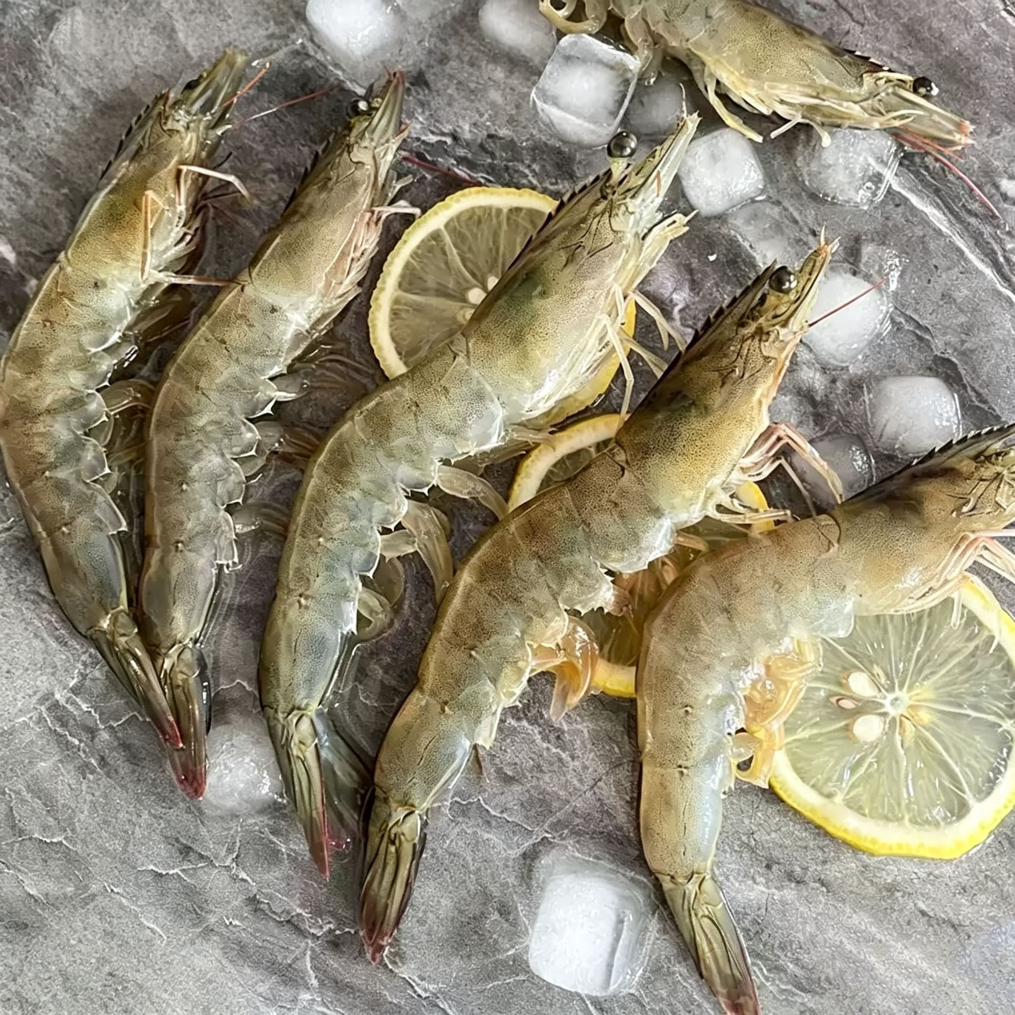Frozen Whole Raw White Prawns